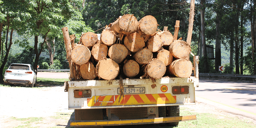 logging truck on road