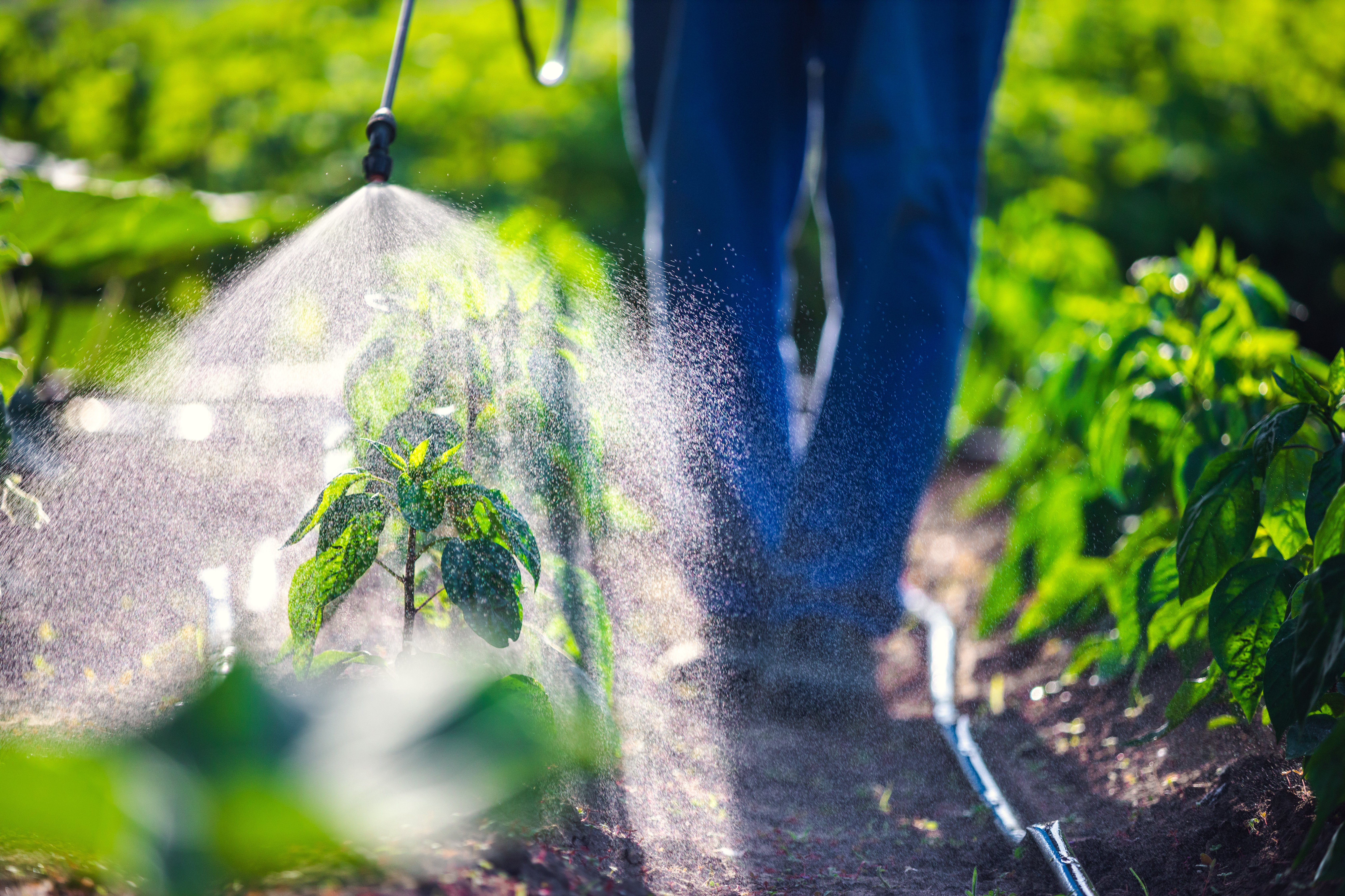 Herbicide and Pesticide Safety
